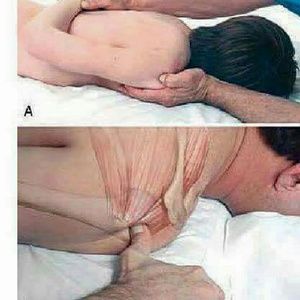 Meet your Posher, Roberto