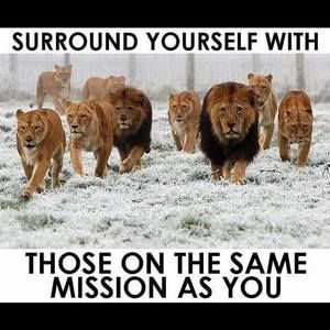 Meet your Posher, Zel