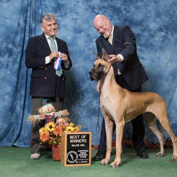 Meet your Posher, Kimberly