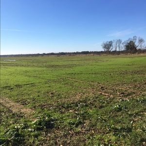 Meet your Posher, Jorden