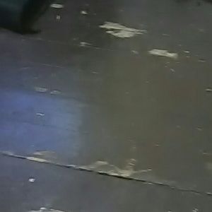 Meet your Posher, Bob