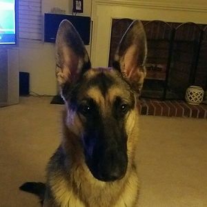 Meet your Posher, Beverly