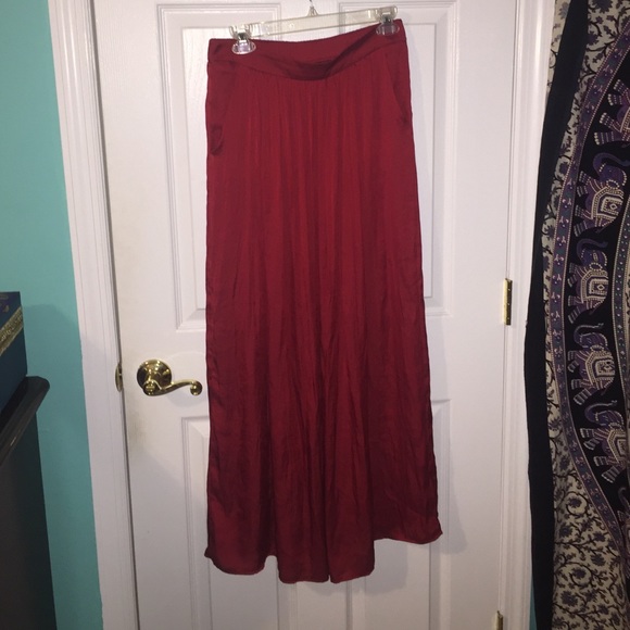 ZARA Maxi Skirt
