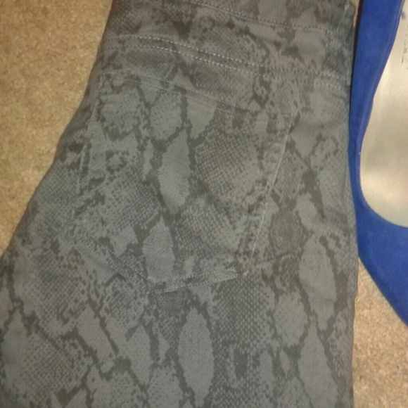 Snake print pants - Picture 2 of 4