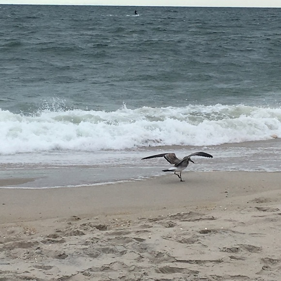 Meet your Posher, Sam