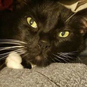 Meet your Posher, Kellie