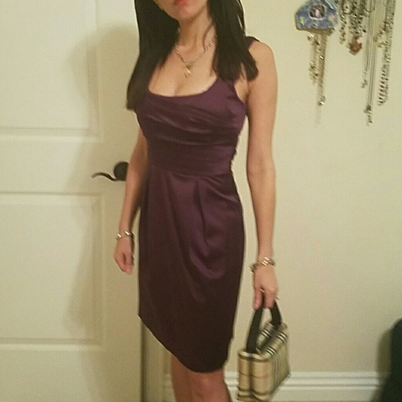 Windsor plum dress never worn
