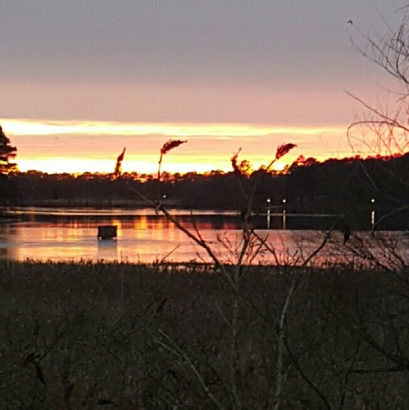 Meet your Posher, Joni - Picture 1 of 1