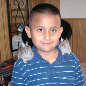 Meet your Posher, Milixsa