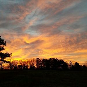 Meet your Posher, Cheyenne