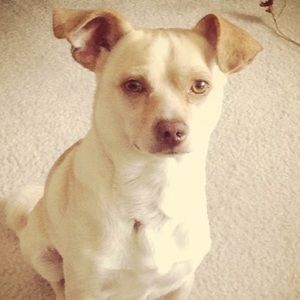 Meet your Posher, Catherine