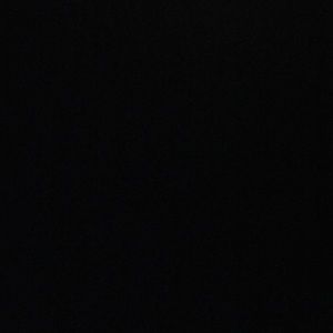 Meet your Posher, Dayna