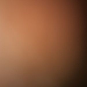 Meet your Posher, Lenny