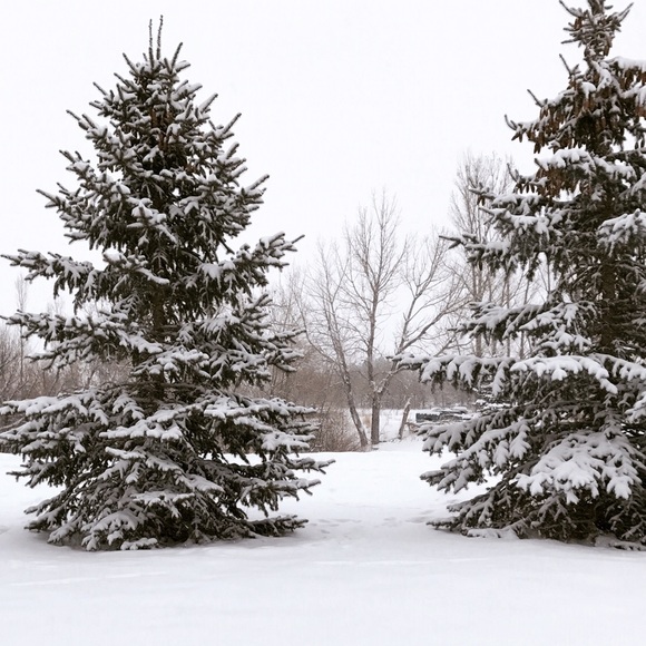 Meet your Posher, Meaghen