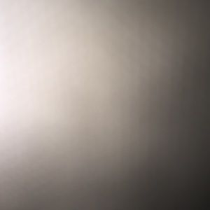 Meet your Posher, Trevor