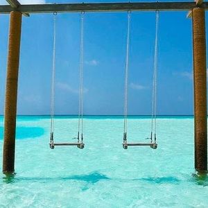 Meet your Posher, Annmarie