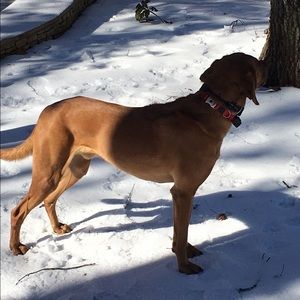 Meet your Posher, Nick