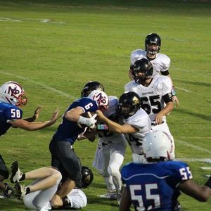 Meet your Posher, Brady