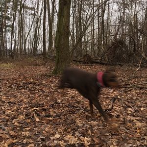 Meet your Posher, John