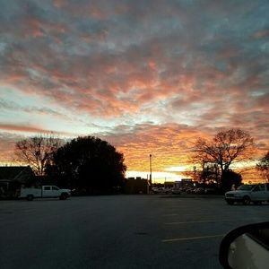 Meet your Posher, Maggie