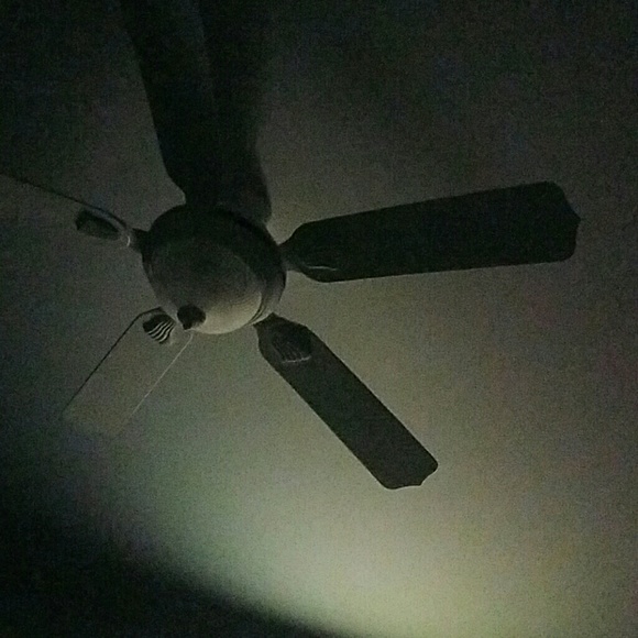 Meet your Posher, Kevin - Picture 1 of 1