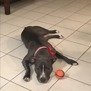 Meet your Posher, Eden