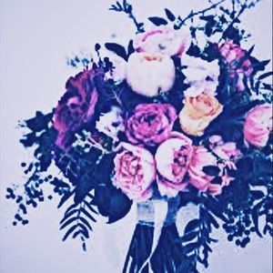 Meet your Posher, Ashlee