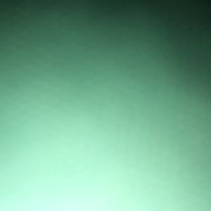 Meet your Posher, Layla