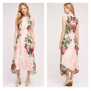 NWT Anthropologie Butterfly Garden Dress sz6