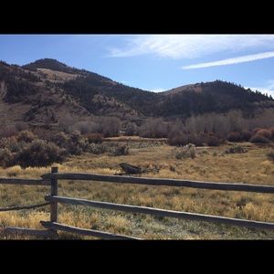 Meet your Posher, Dawn