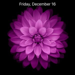 Meet your Posher, Leona