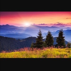 Meet your Posher, Shawn