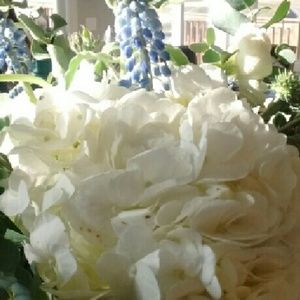 Meet your Posher, Leslie