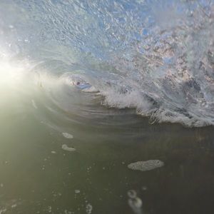 Meet your Posher, Daniel ray