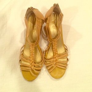 Seychelles Yellow Wedge