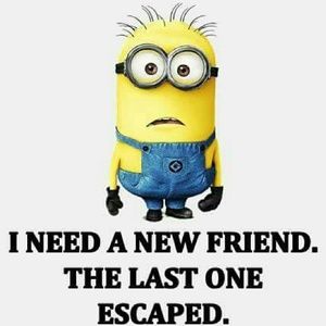 Meet your Posher, Amada