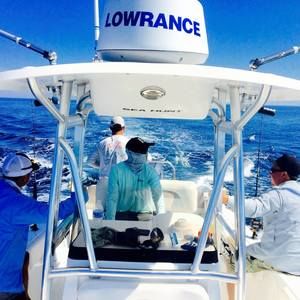 Meet your Posher, Nam