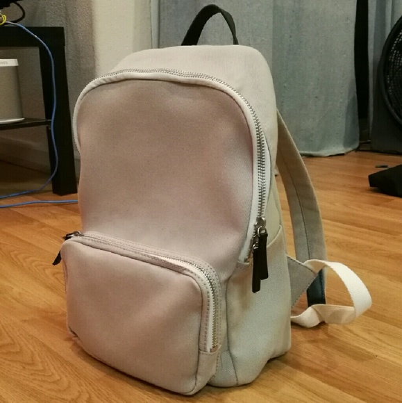 everlane mini backpack