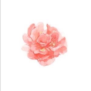 Meet your Posher, Sohee