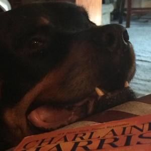 Meet your Posher, Sherry