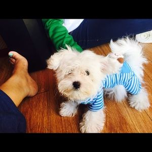 Meet your Posher, Carmen