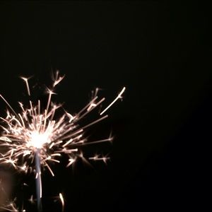 Meet your Posher, Bella