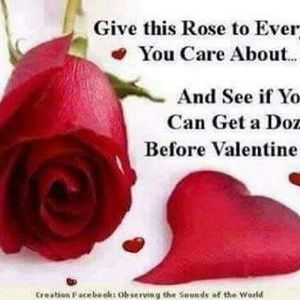 Meet your Posher, Diamond