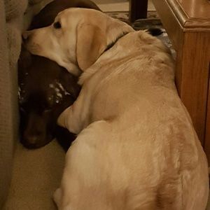 Meet your Posher, Connie