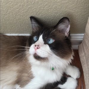 Meet your Posher, Evan