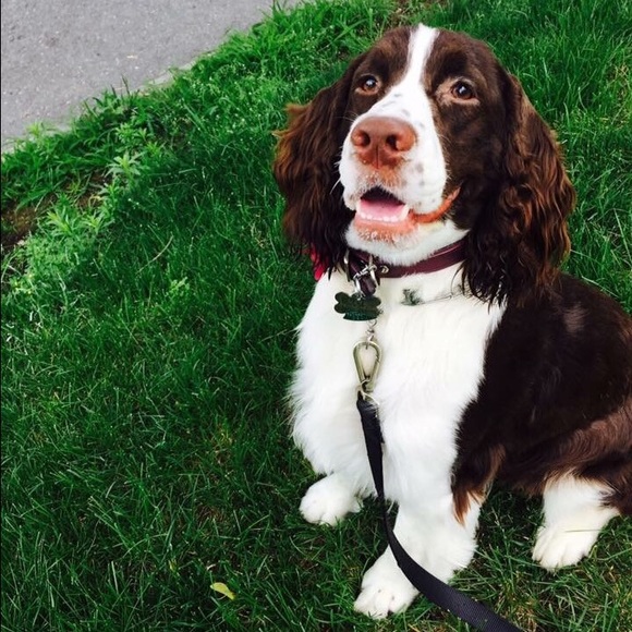 Meet your Posher, Leah