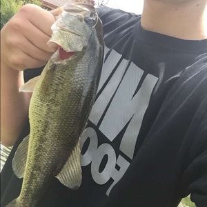 Meet your Posher, Jake