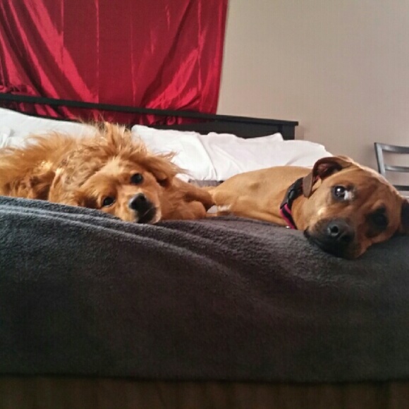 Meet your Posher, Frona