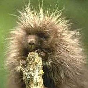 Meet your Posher, Mary beth