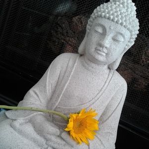 Meet your Posher, Natasha